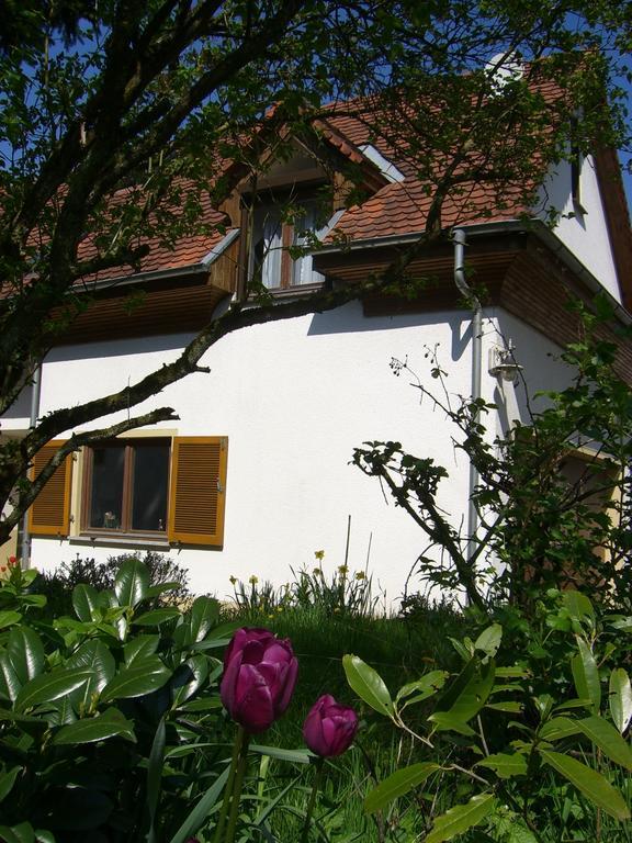 Ferienwohnung Lucia Huber Uhldingen-Mühlhofen Værelse billede